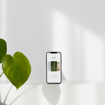 The next generation of leather alternatives